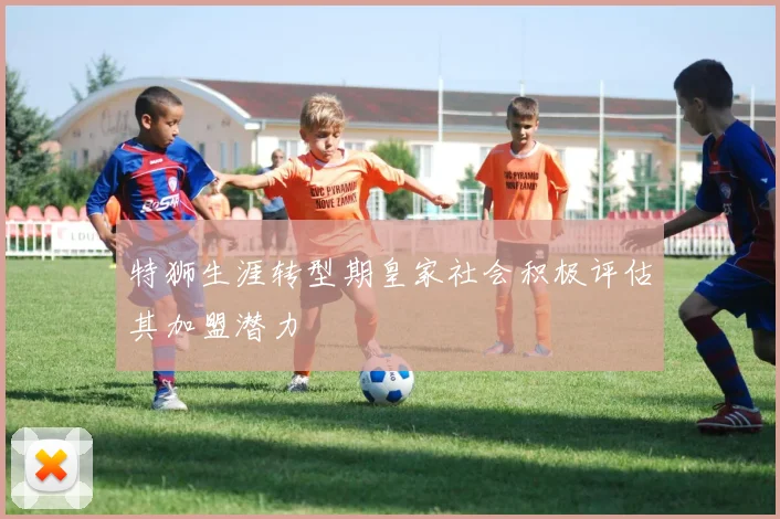 特狮生涯转型期皇家社会积极评估其加盟潜力