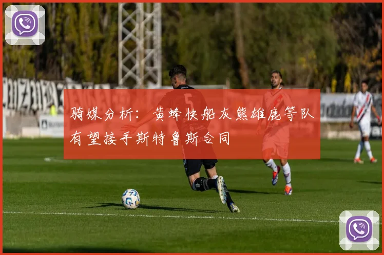 骑媒分析：黄蜂快船灰熊雄鹿等队有望接手斯特鲁斯合同